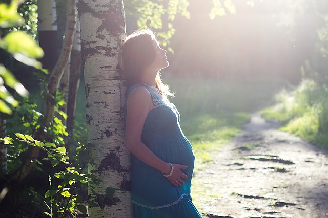 tehotná žena pri strome.jpg